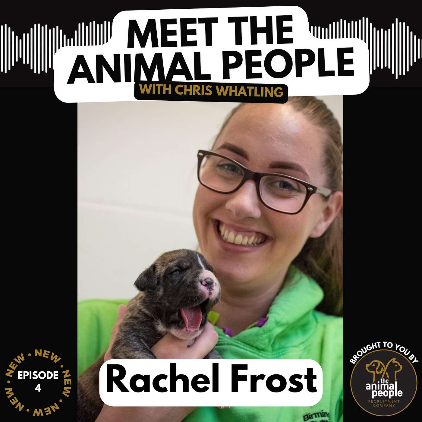 Meet The Animal People with Chris Whatling