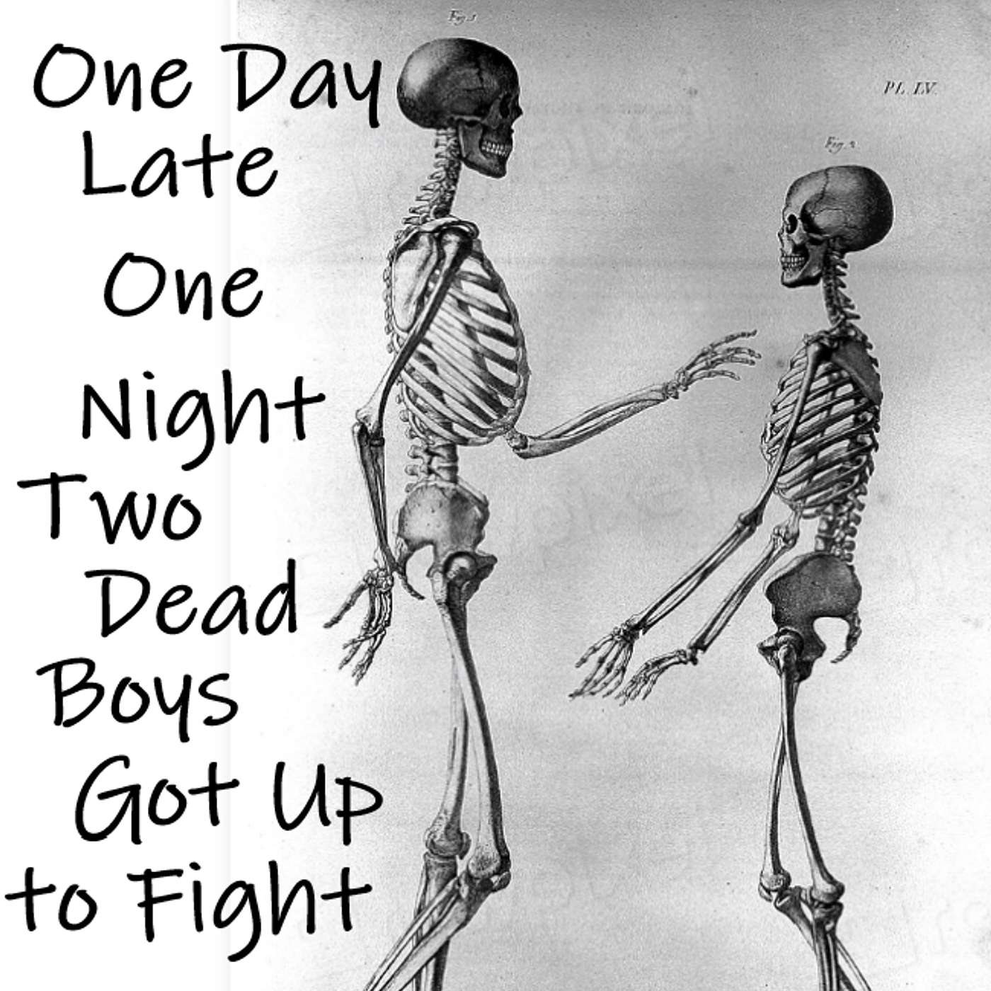 One Day Late at Night, Two Dead Boys Got Up to Fight