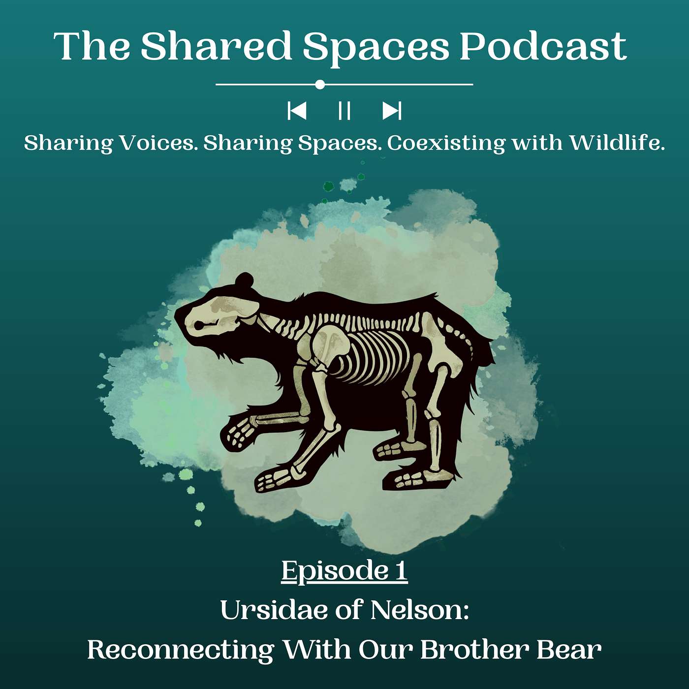The Shared Spaces Podcast