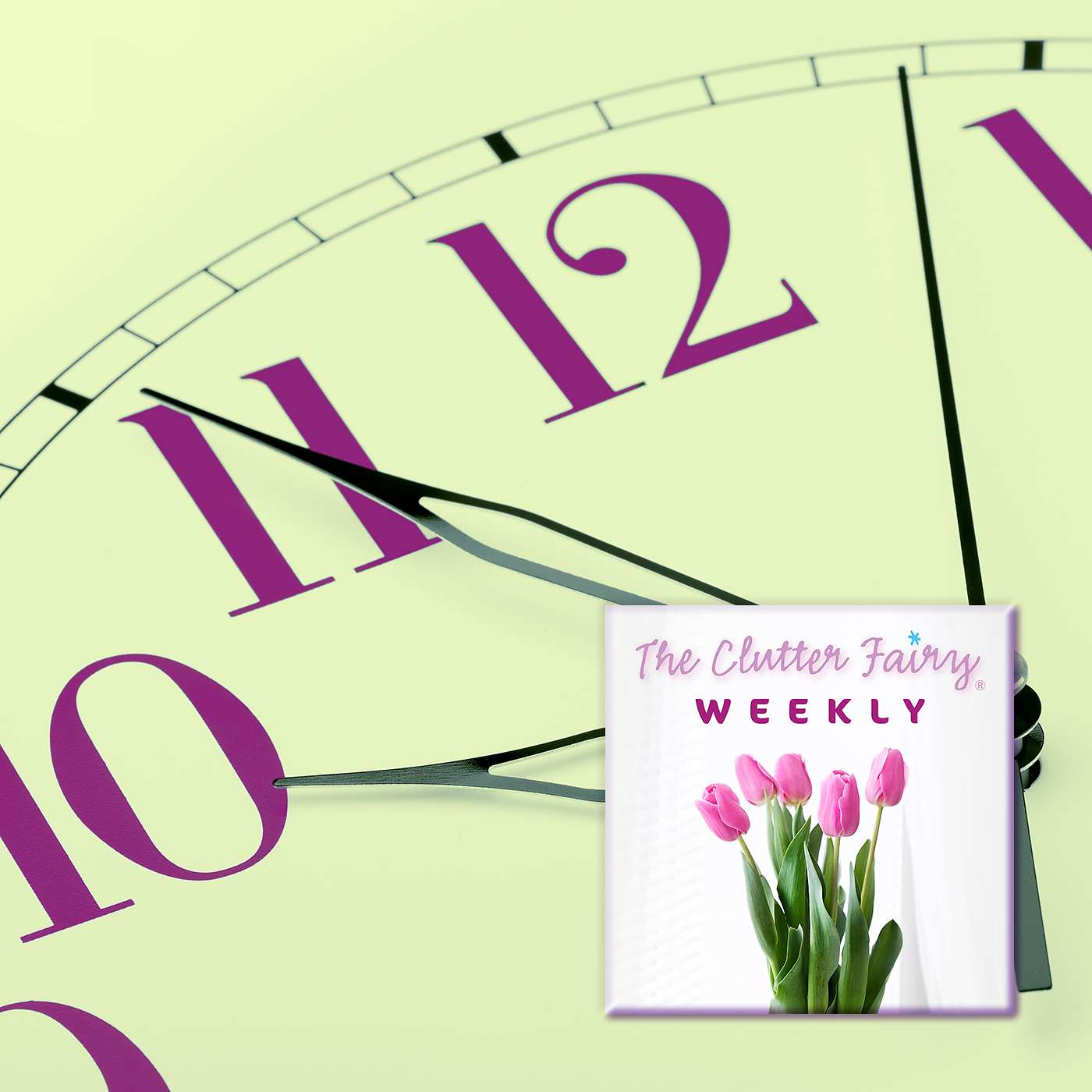 The Clutter Fairy Weekly