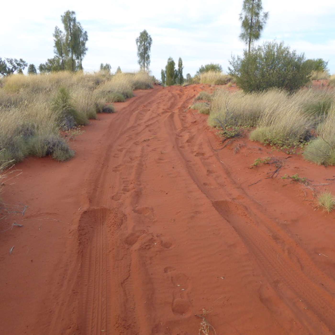 Episode 4 (Australia, Part 4 of 4)