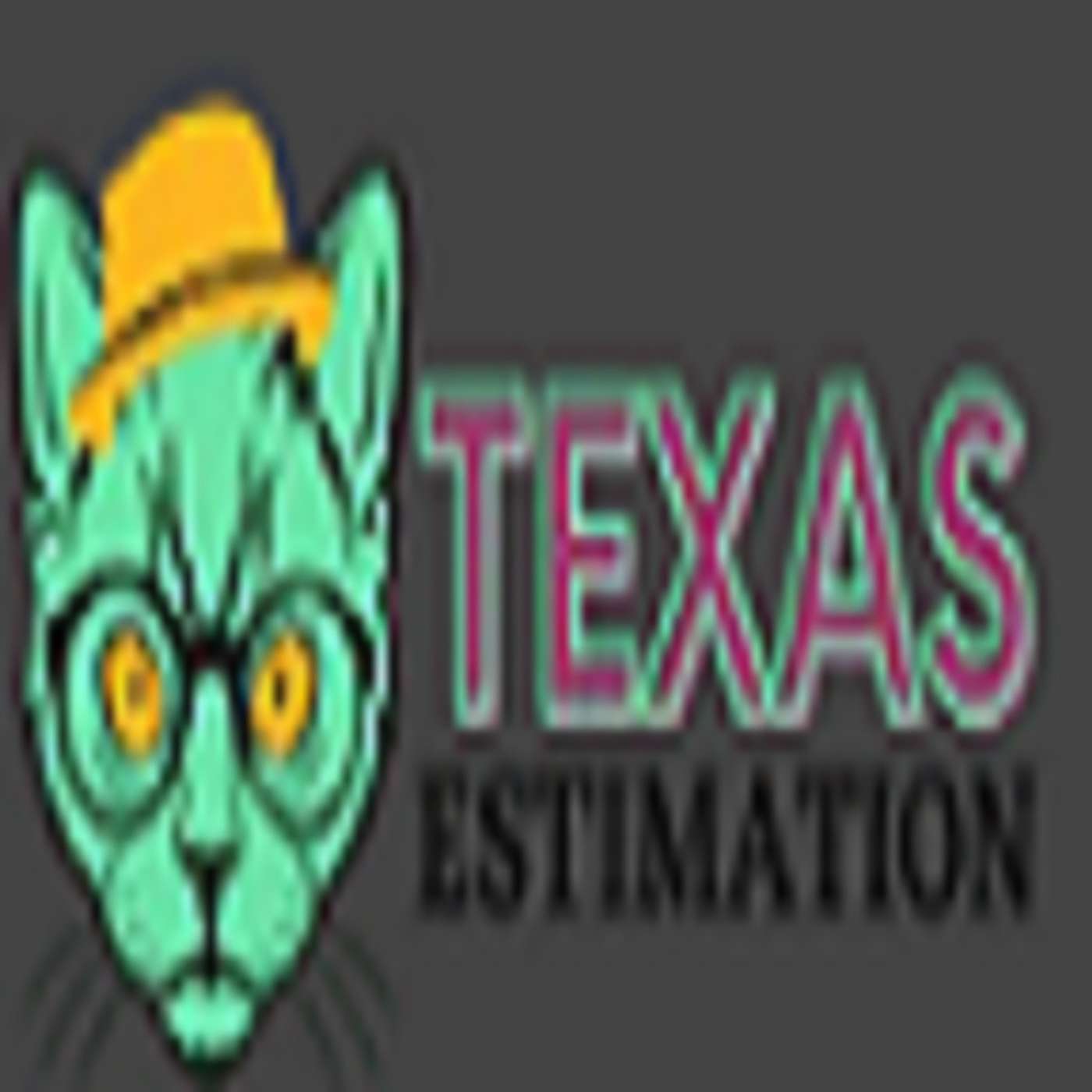 TexasEstimation's Podcast