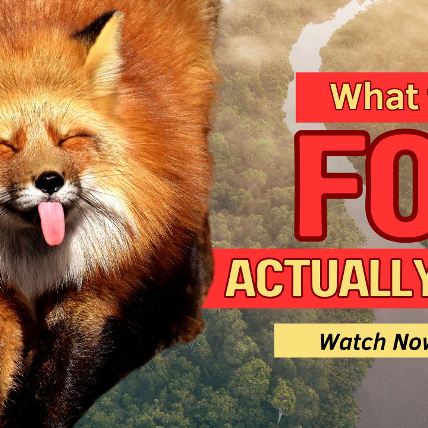 What the Fox *Actually* Says... episode artwork