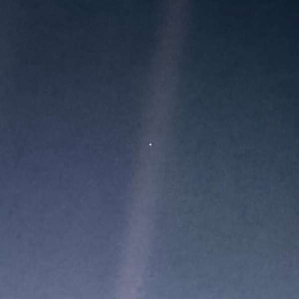 palebluewave Artwork