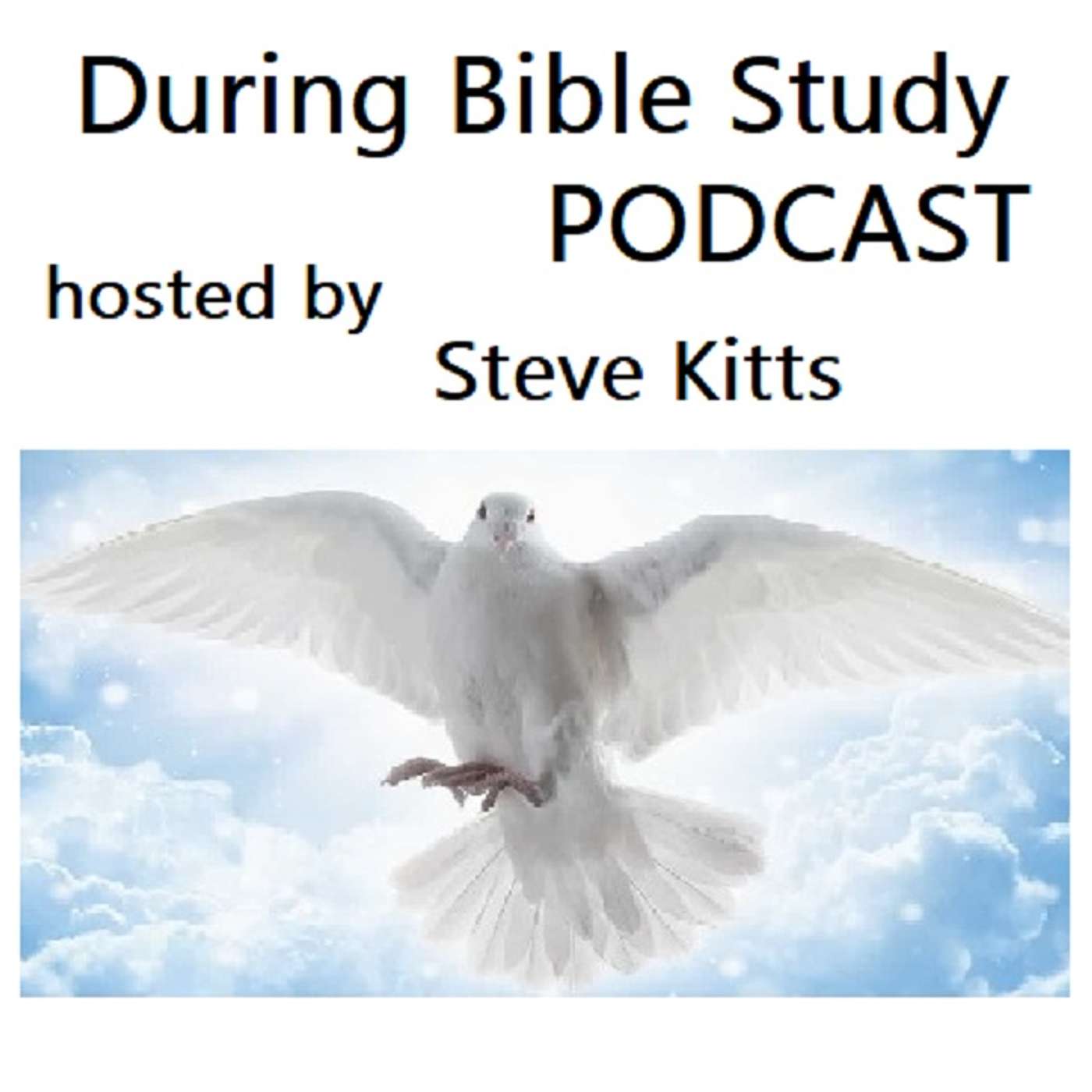During Bible Study
