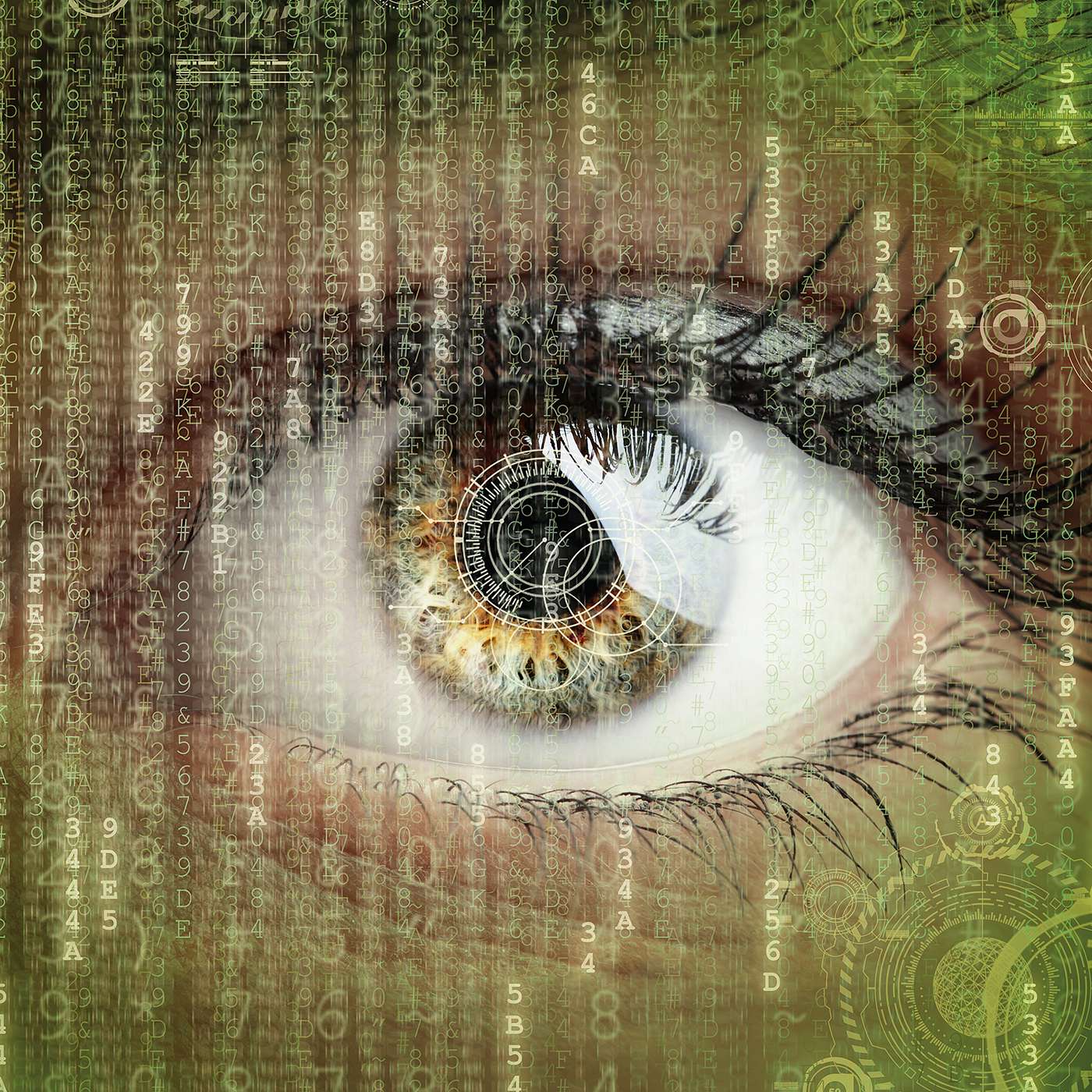 Protecting Yourself from Online Fraud Scams During the COVID-19 Pandemic