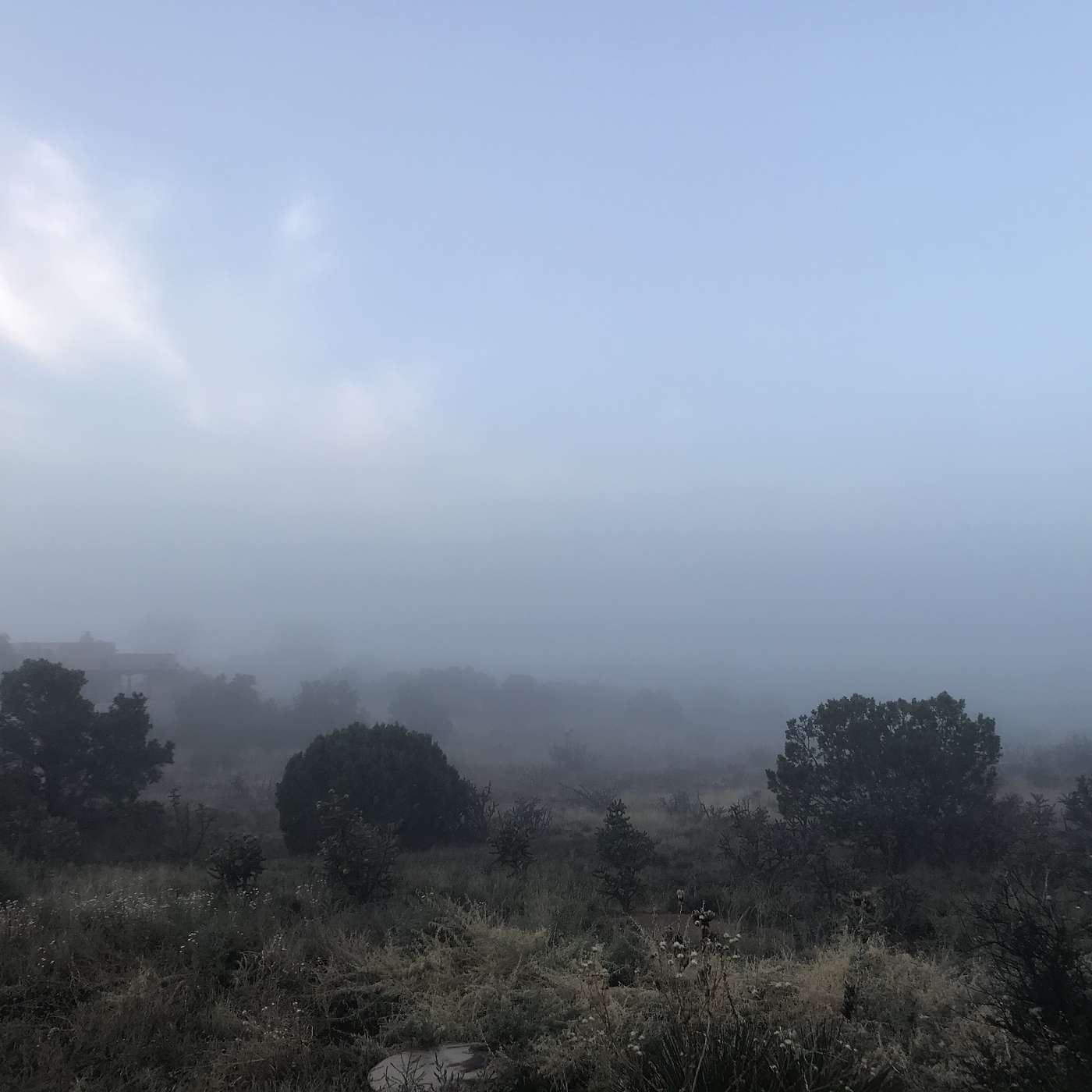 First Cup of Coffee - October 19, 2018