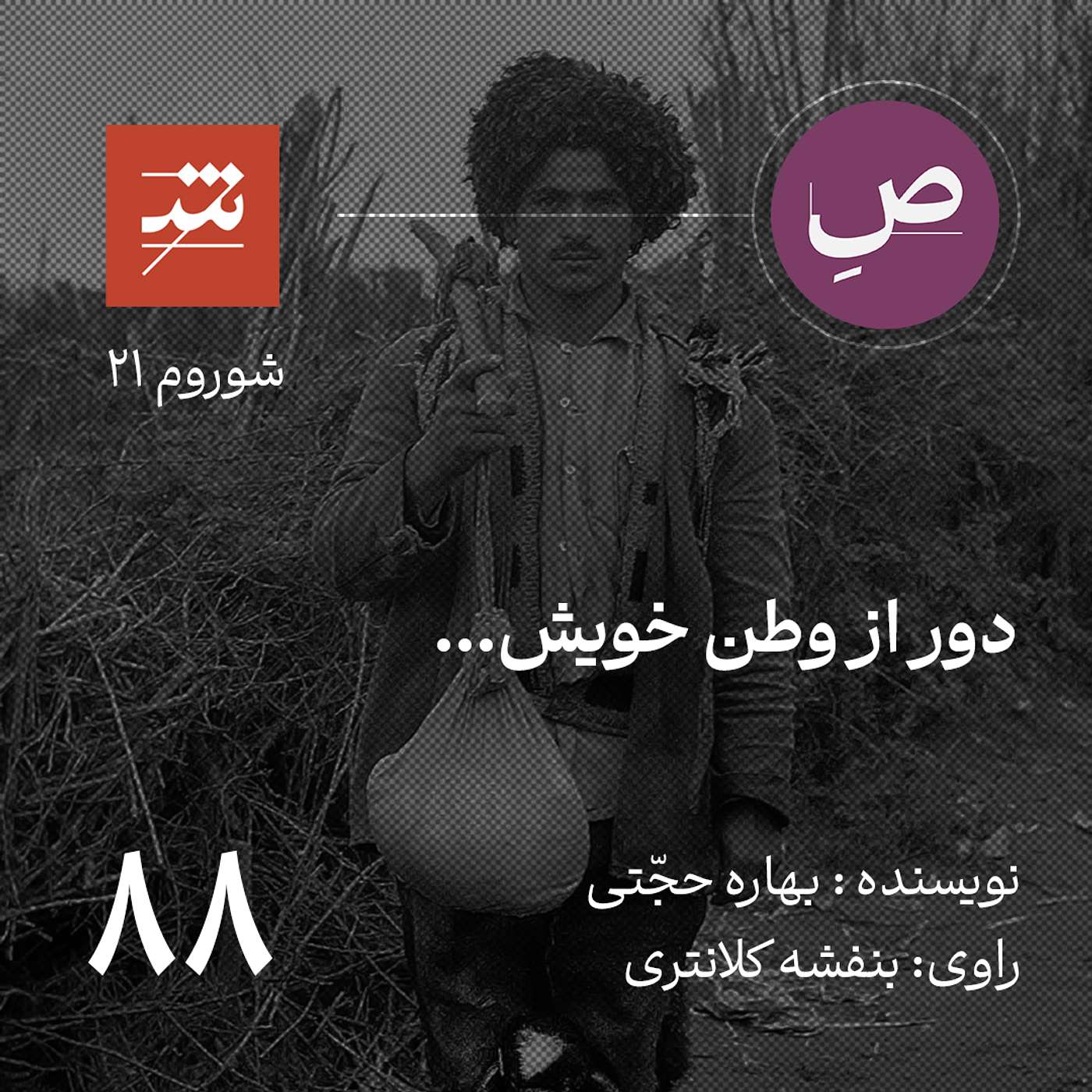 دور از وطن خویش