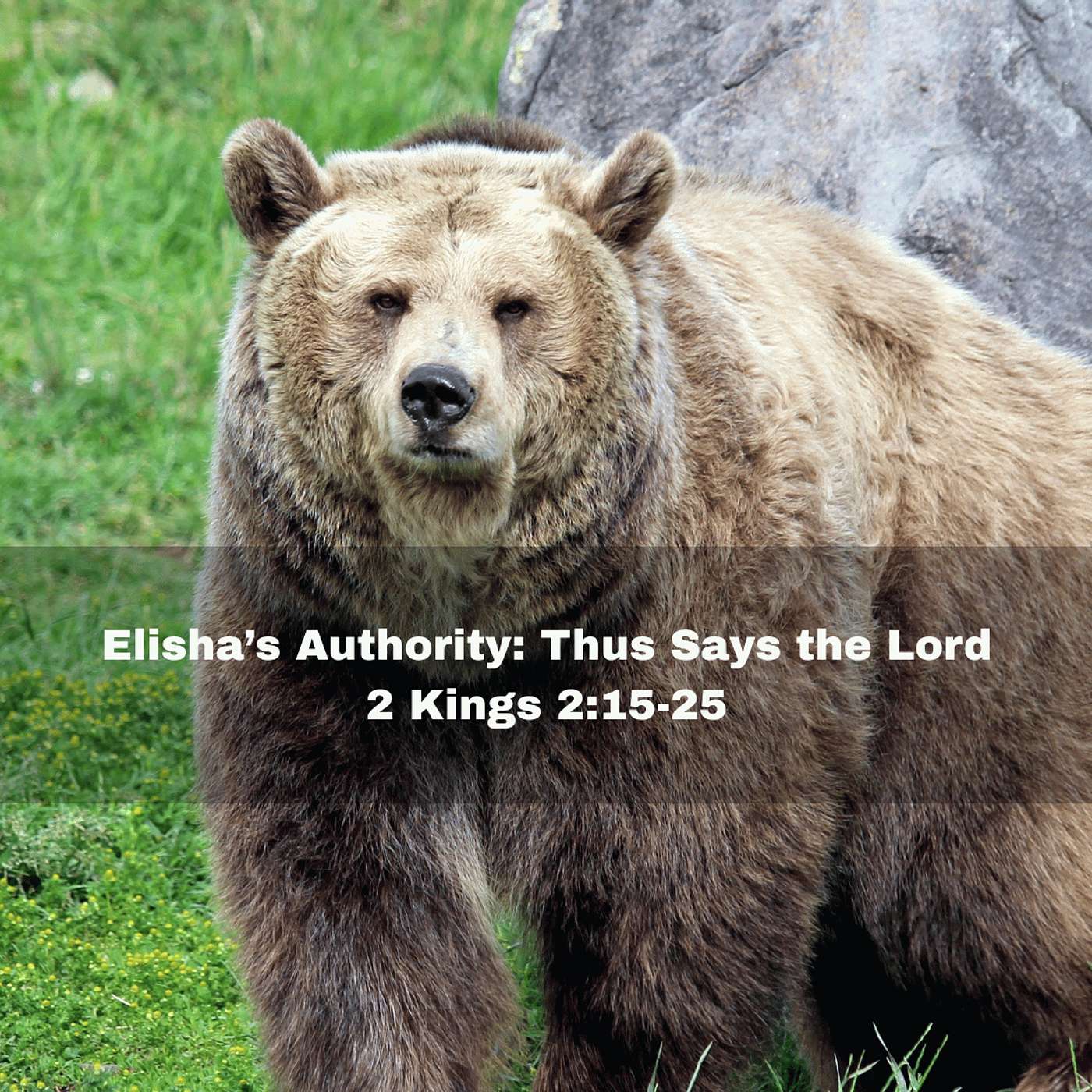 "Elisha's Authority: Thus Says the Lord" 2 Kings 2:15-25