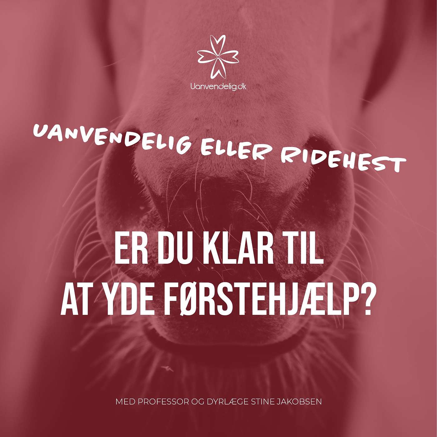 Er du klar til førstehjælp? - Med Stine Jacobsen - Professor i stordyrskirurgi hos Københavns Universitet episode artwork