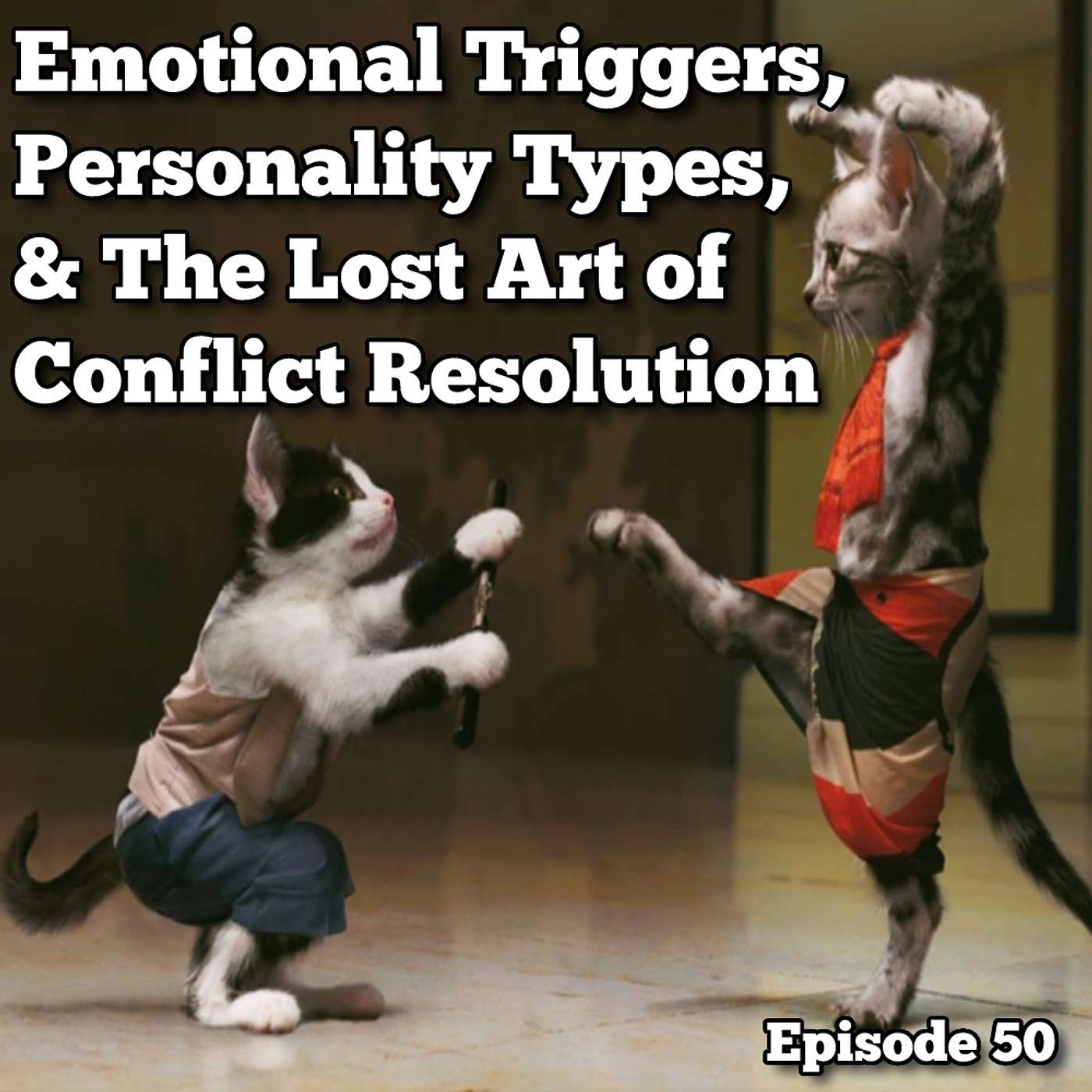 Emotional Triggers, Personality Types, & The Lost Art of Conflict Resolution - Episode 50