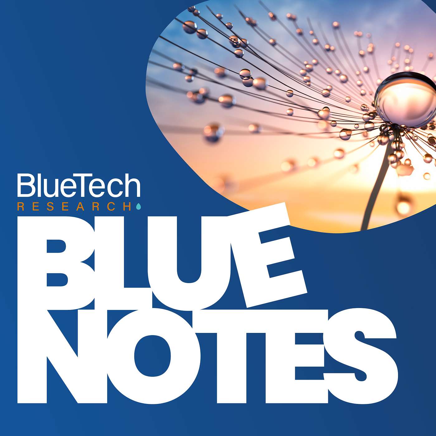 BlueNotes