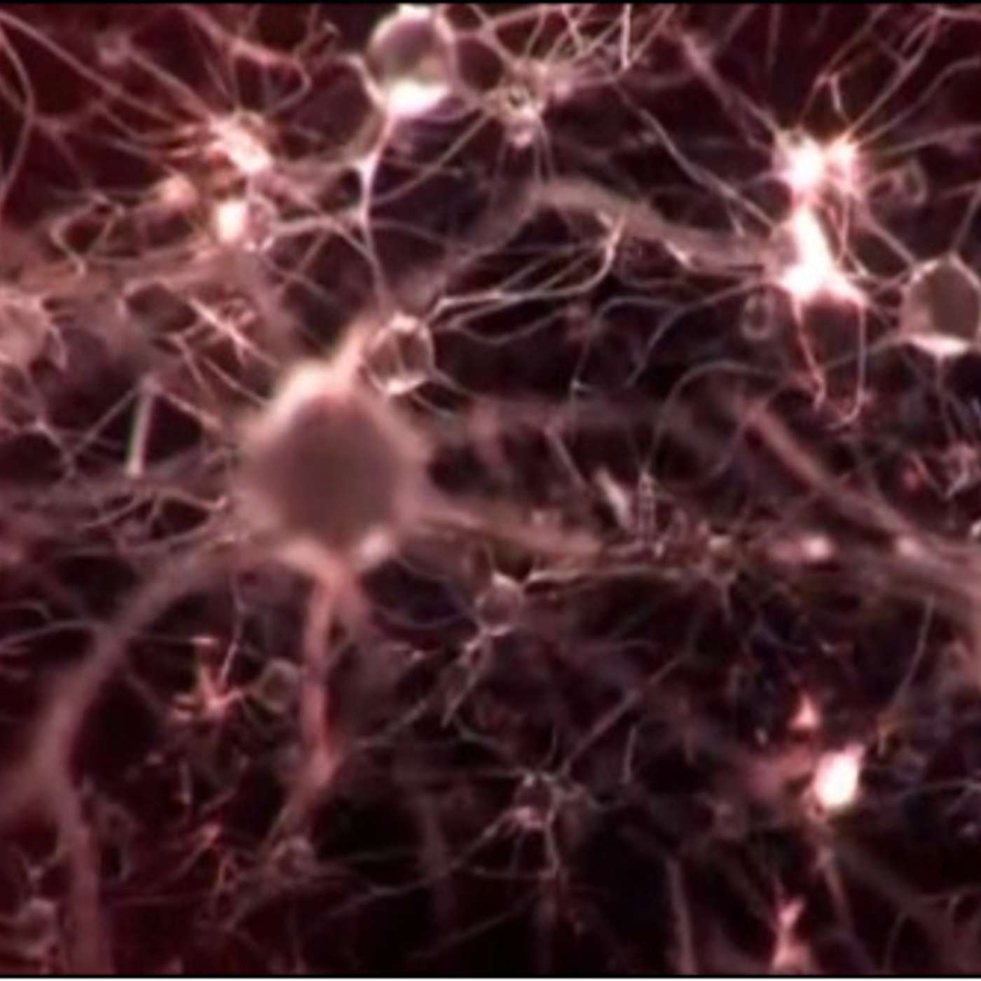 The power of nerves (part 1)