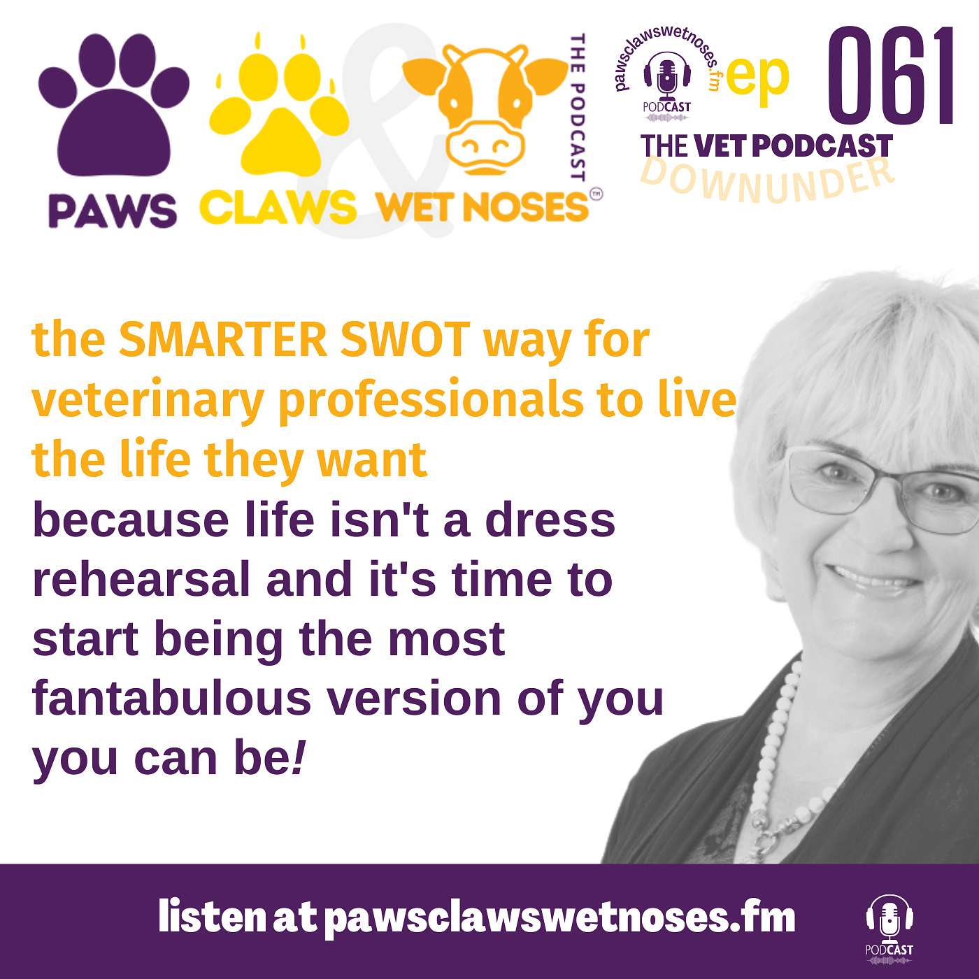 the SMARTER SWOT way for veterinary professionals to live the life they want