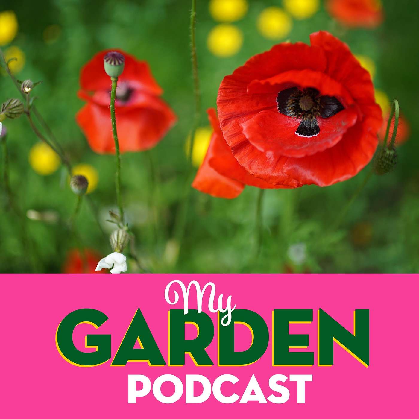 My Garden Podcast - Gardening Podcast
