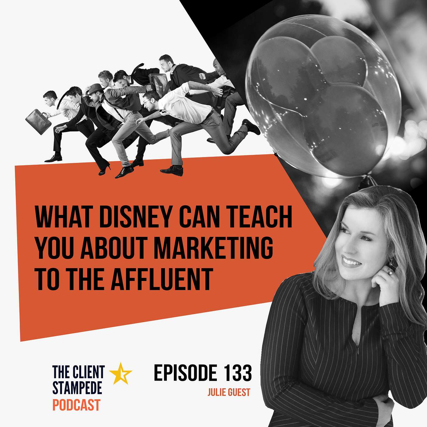 #133 What Disney VIP Tours Can Teach You About Marketing to the Affluent