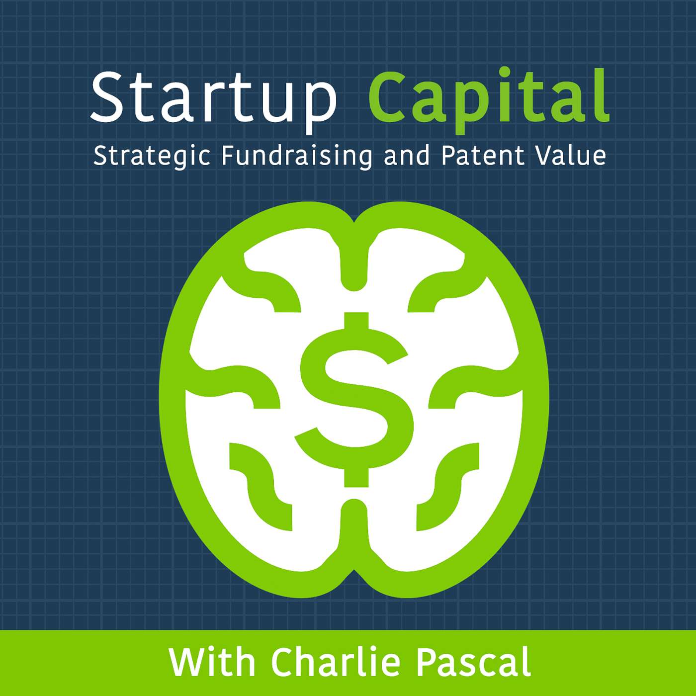 ​​Patently Strategic - Patent Strategy for Startups