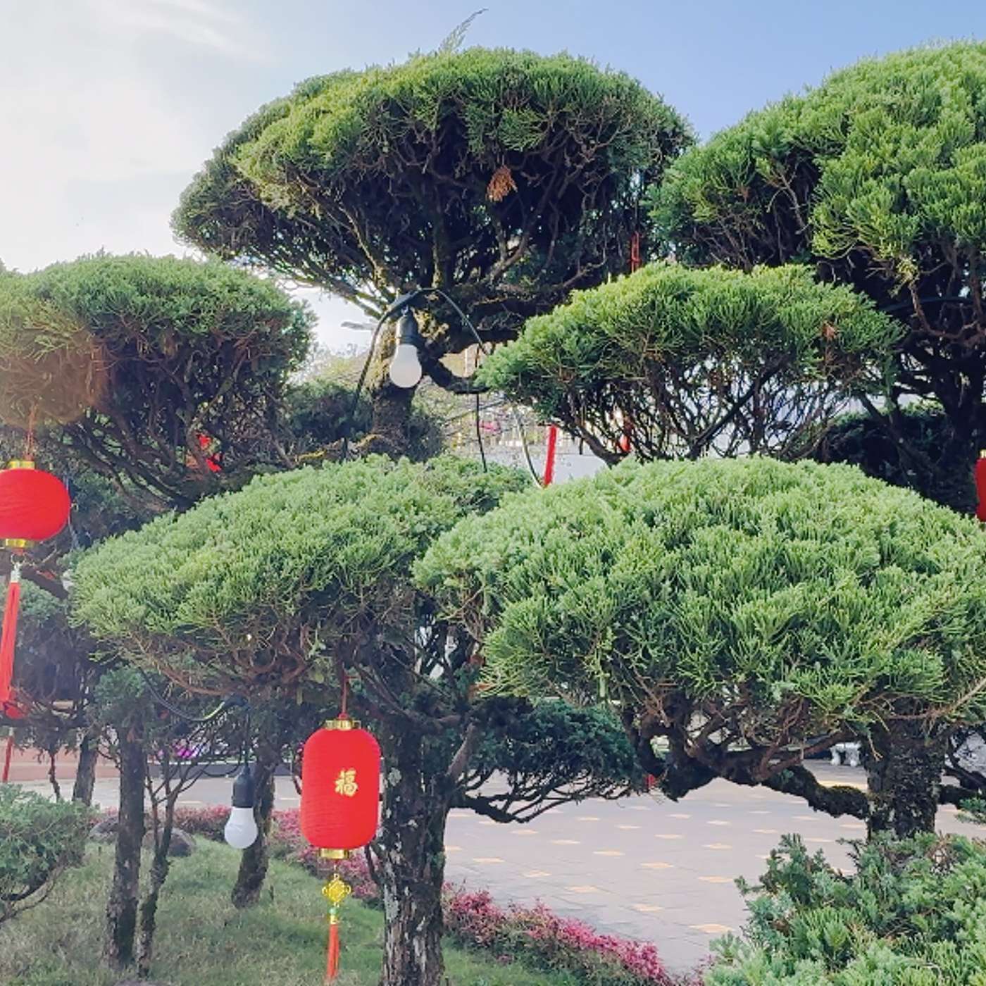Tập 161: Bạn có thực sự tìm thấy niềm vui trong trading episode artwork