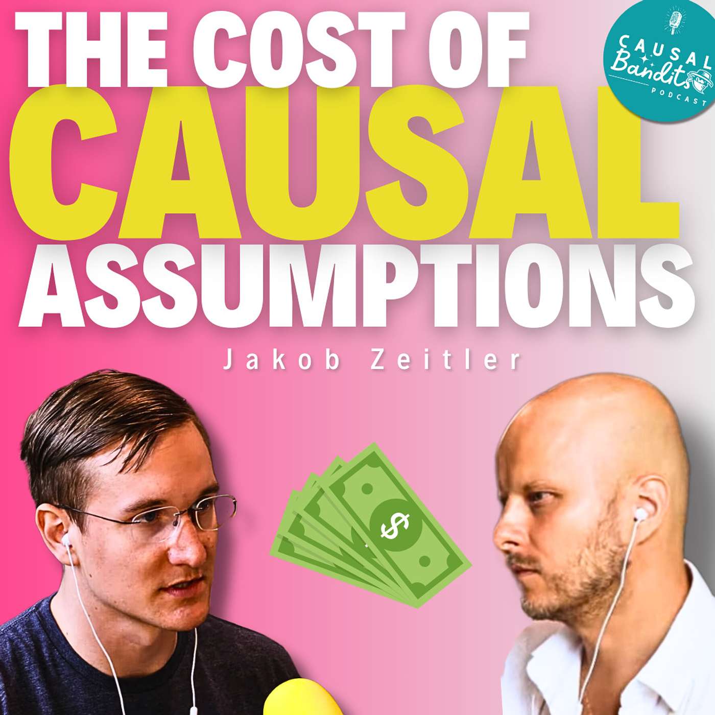 Causal Bandits Podcast