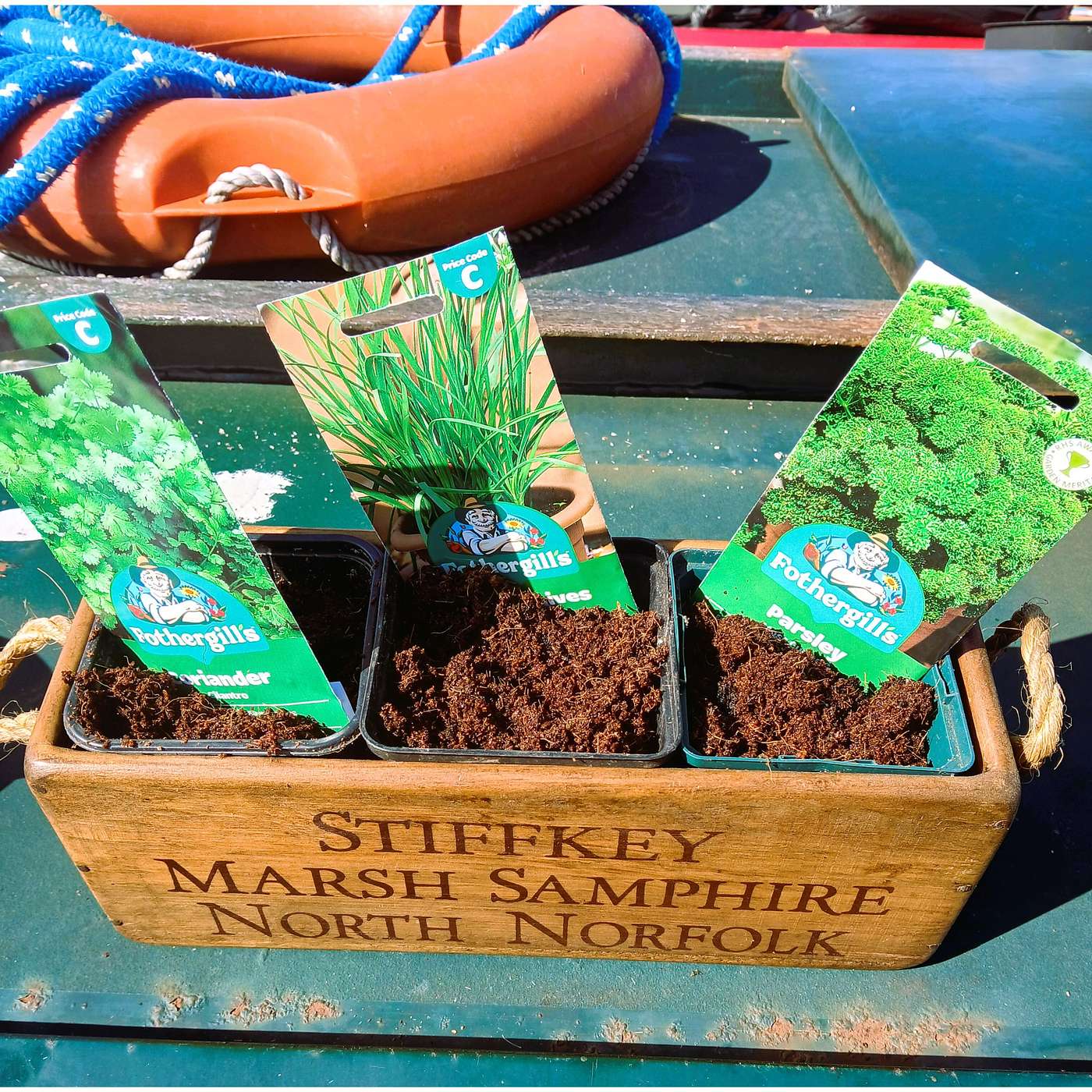 The Seeds of Spring ('Somewhere, right now')