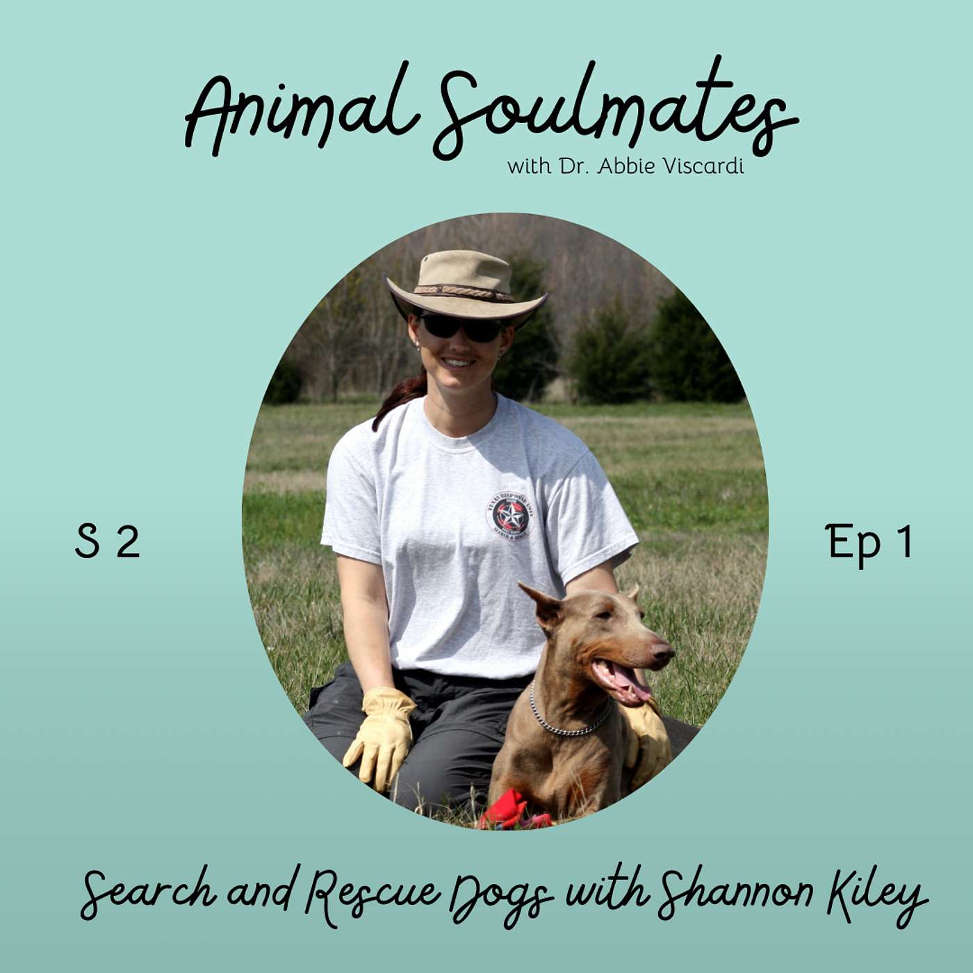 Animal Soulmates