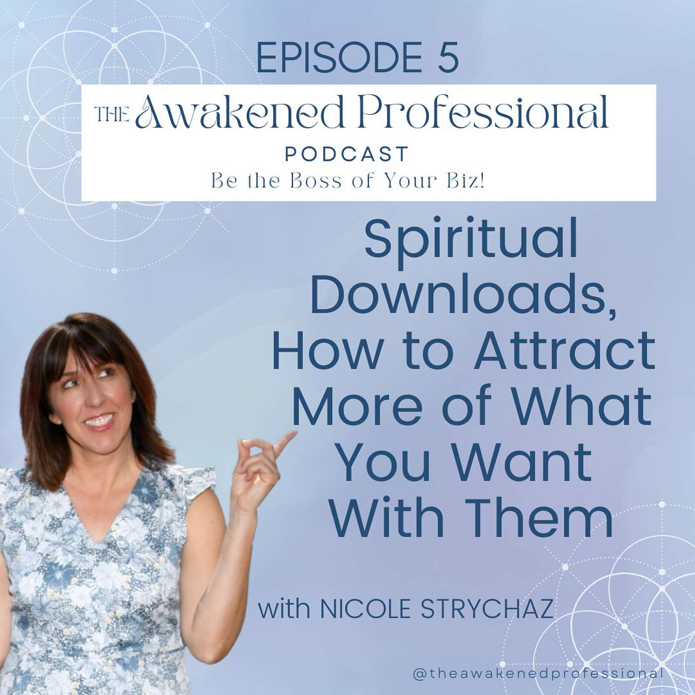 The Awakened Professional