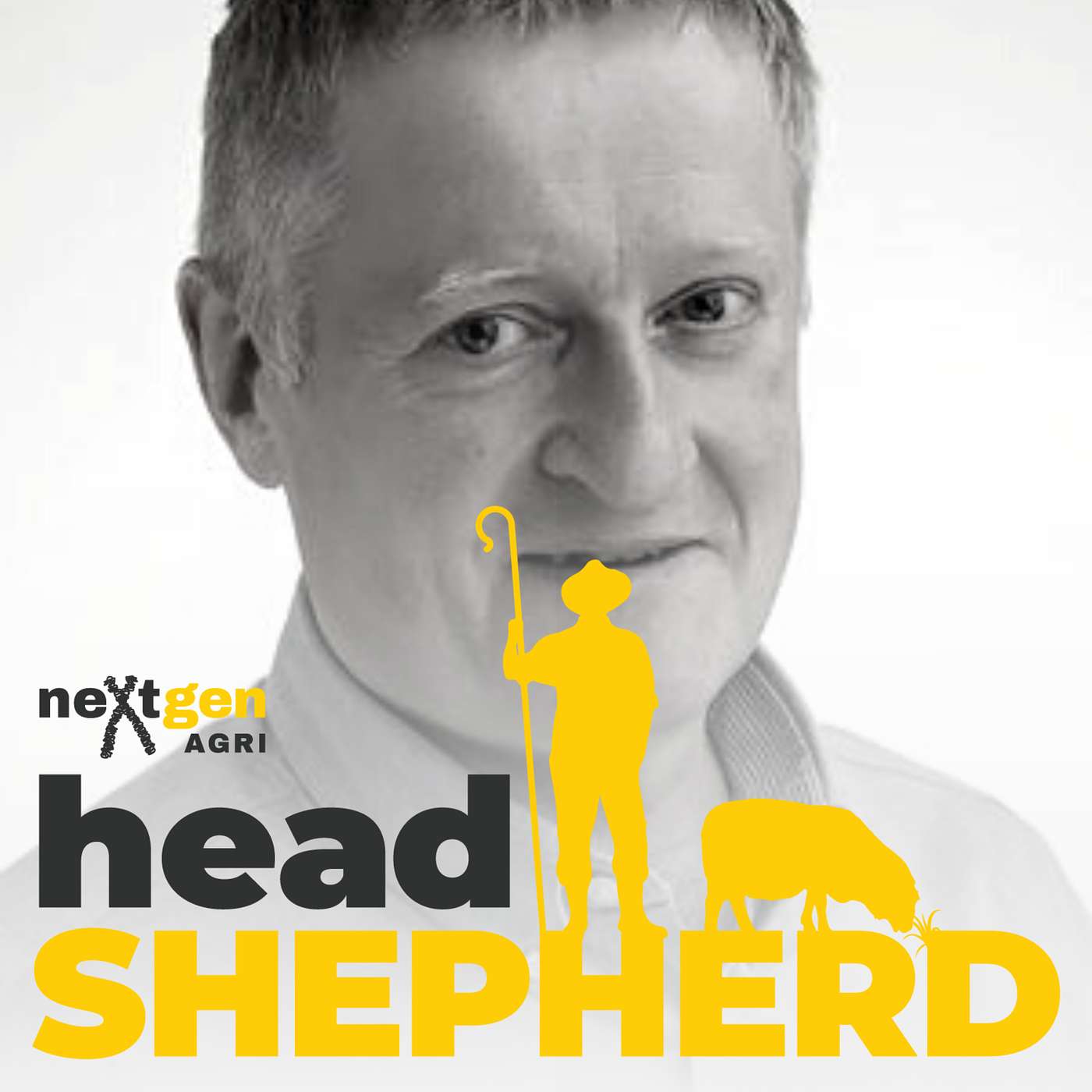 Head Shepherd