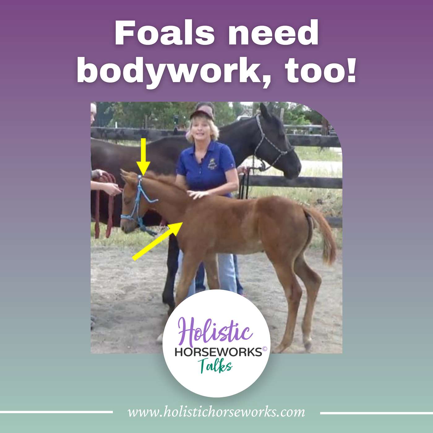 Holistic Horseworks Talks with April Love