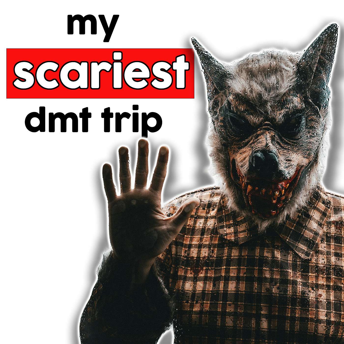 My Scariest DMT Experience | DMT EXPERIENCES #40 My Scariest DMT Experience | DMT EXPERIENCES #40