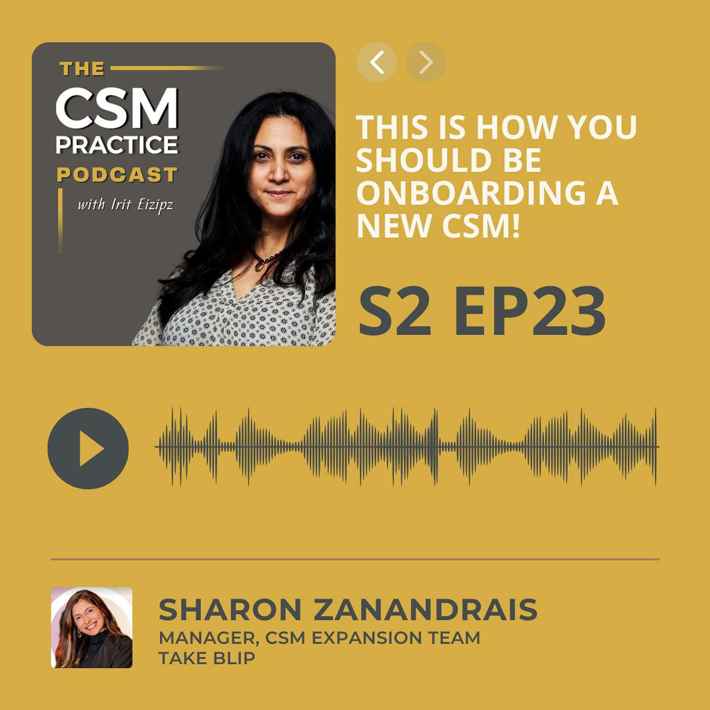 CSM Practice - The Customer Success Podcast