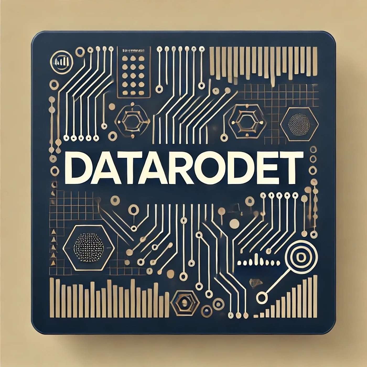 Artwork for Datarodet