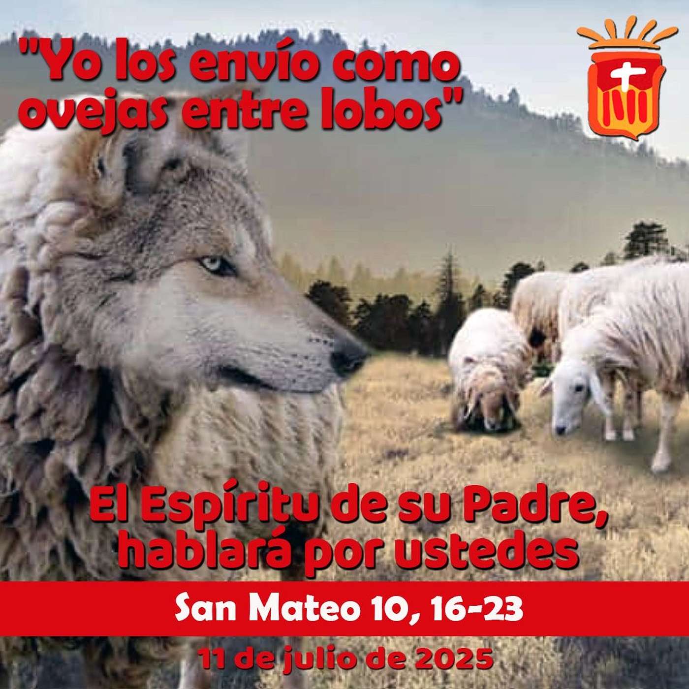 2025-07-11 San Mateo 10, 16-23: Viernes XIV Ordinario