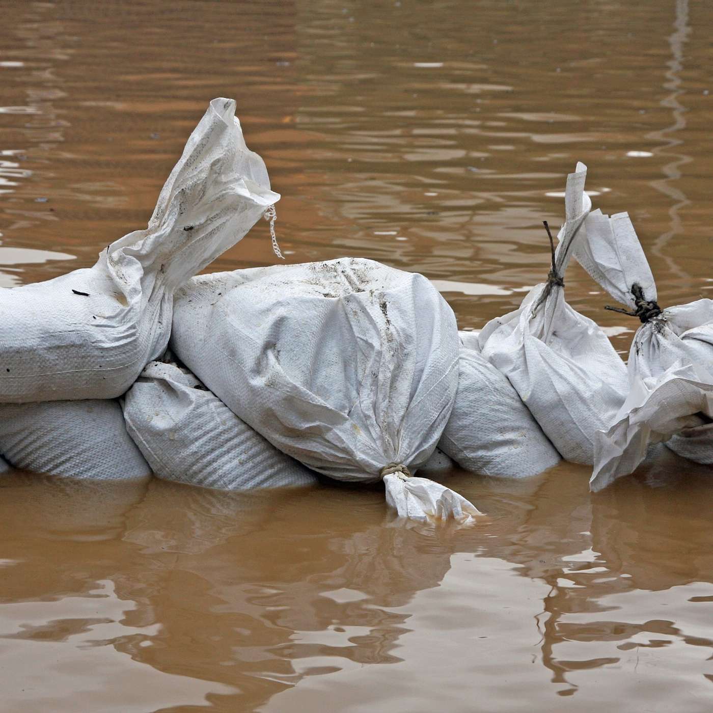 Brad Fain and Ron Fain Set the Record Straight on Flooding, Land Sales, and the Amazon Case episode artwork