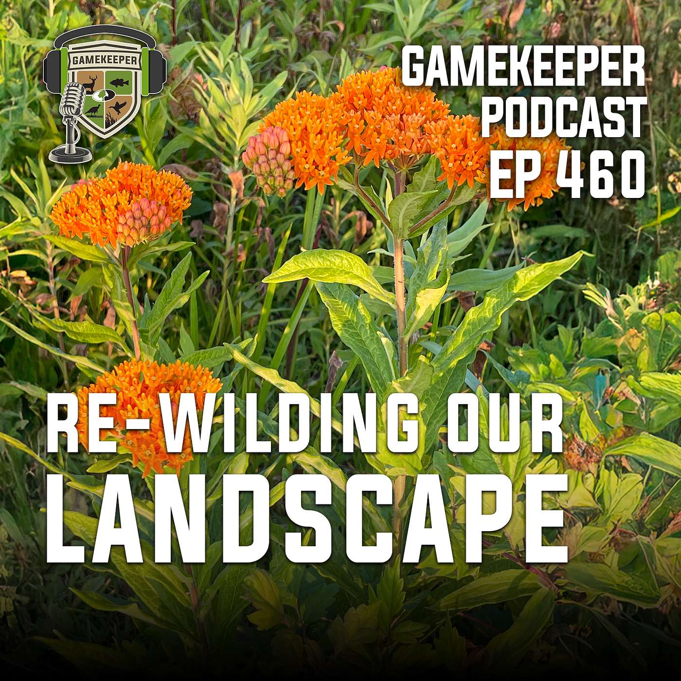 EP: 460 | Re-Wilding our Landscape episode artwork