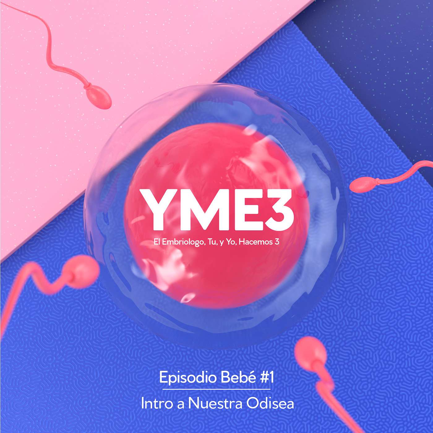 1. Episodio Bebé: Intro a Nuestra Odisea.