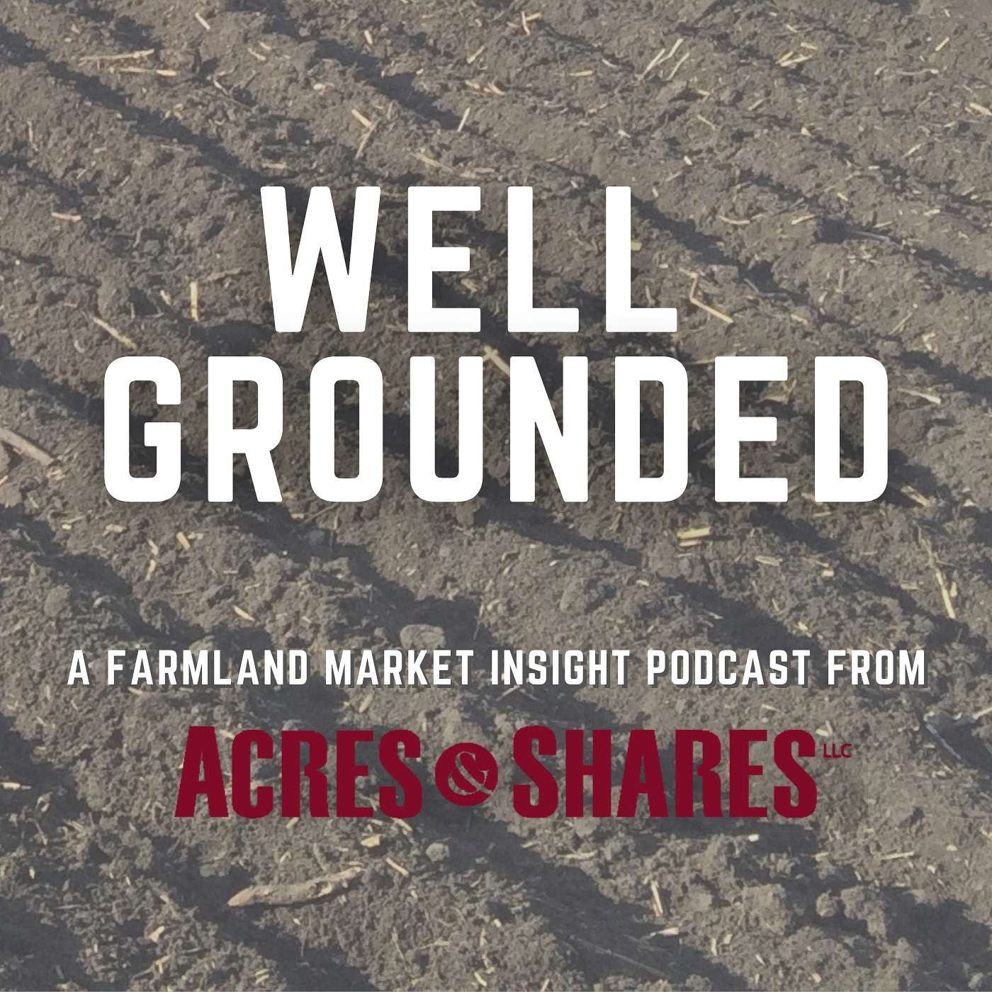 Well Grounded – Episode 2 Well Grounded – Episode 2