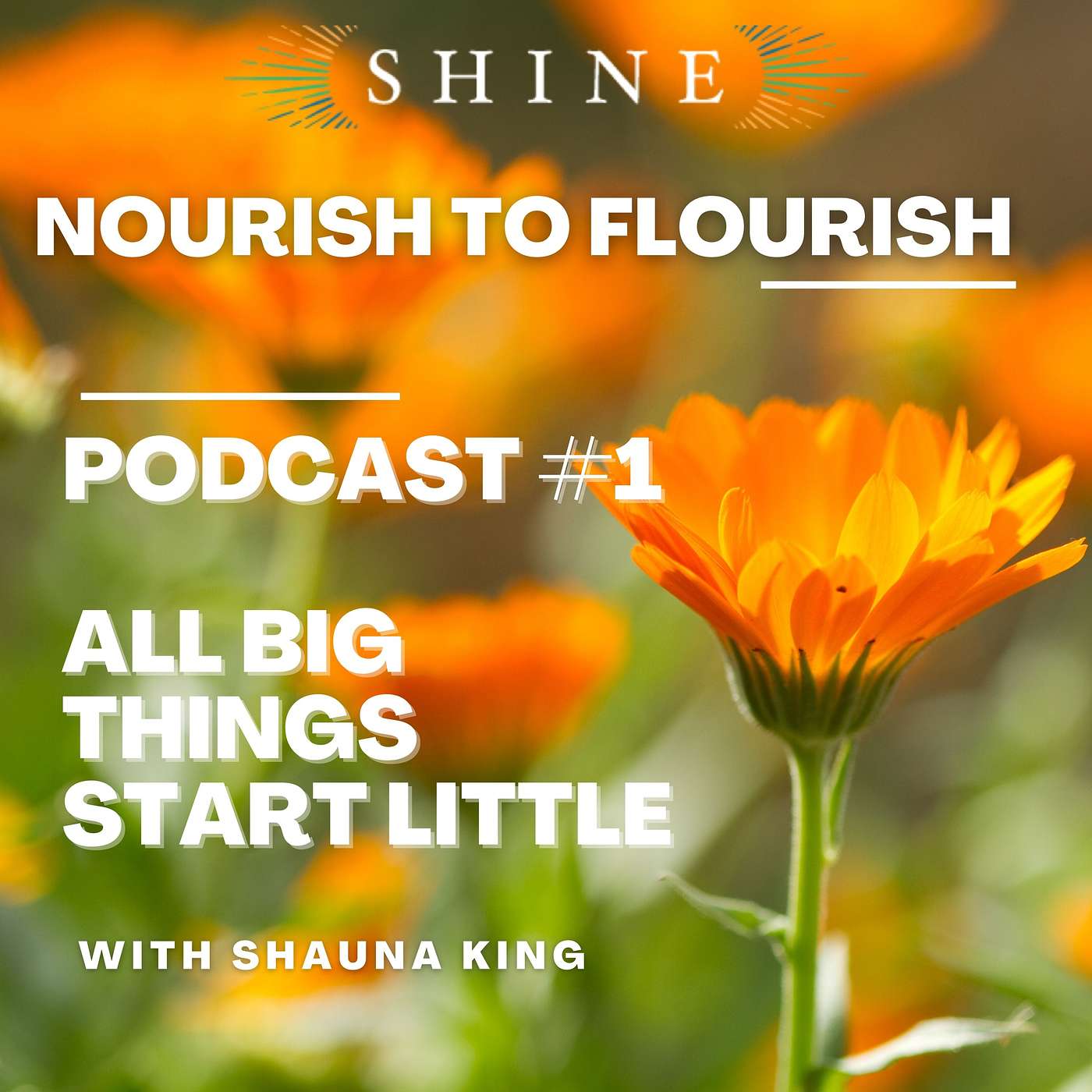 Nourish To Flourish; Your Seasonal Guide to Being Well with Shauna @ Shine Mind Body Spirit