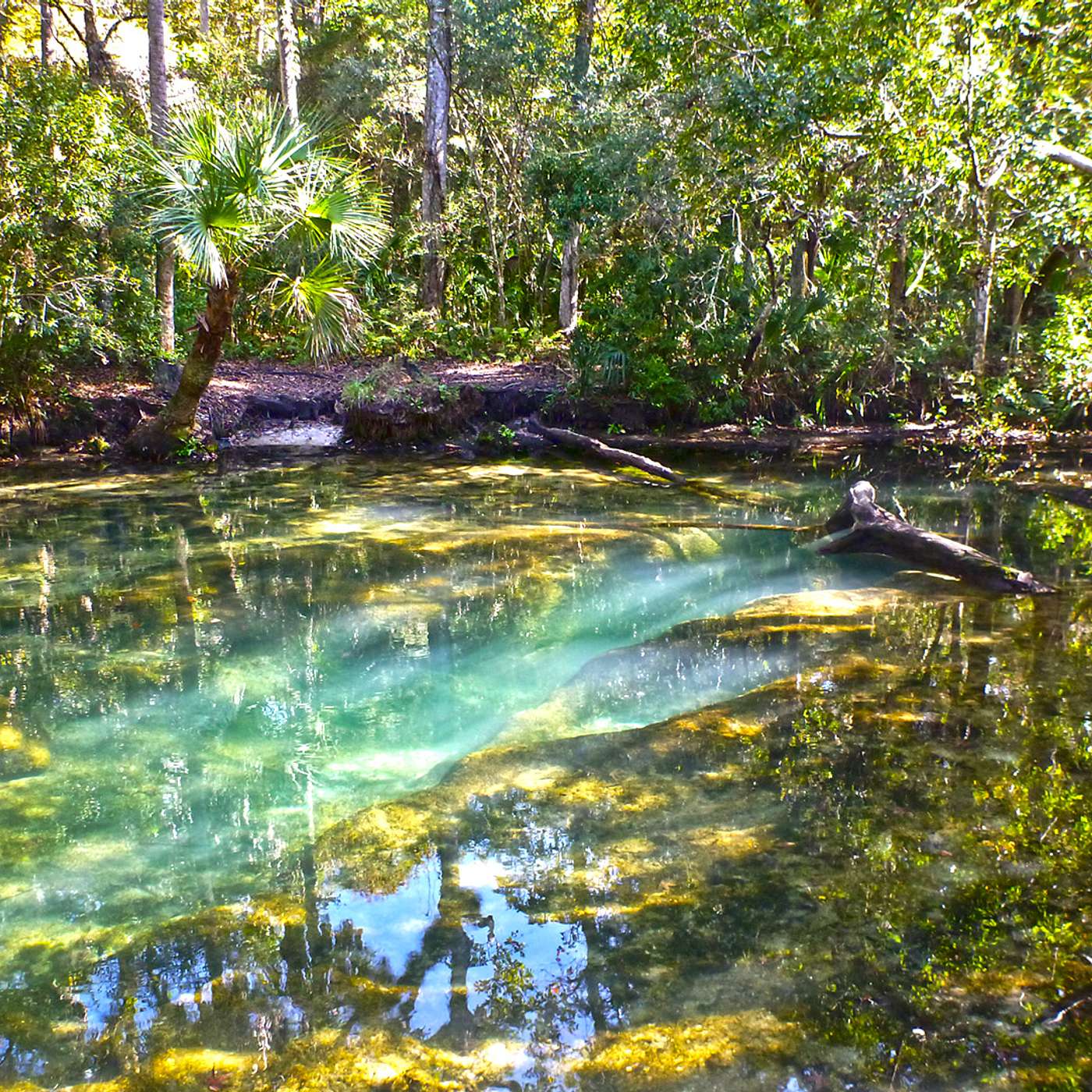 Florida Spectacular