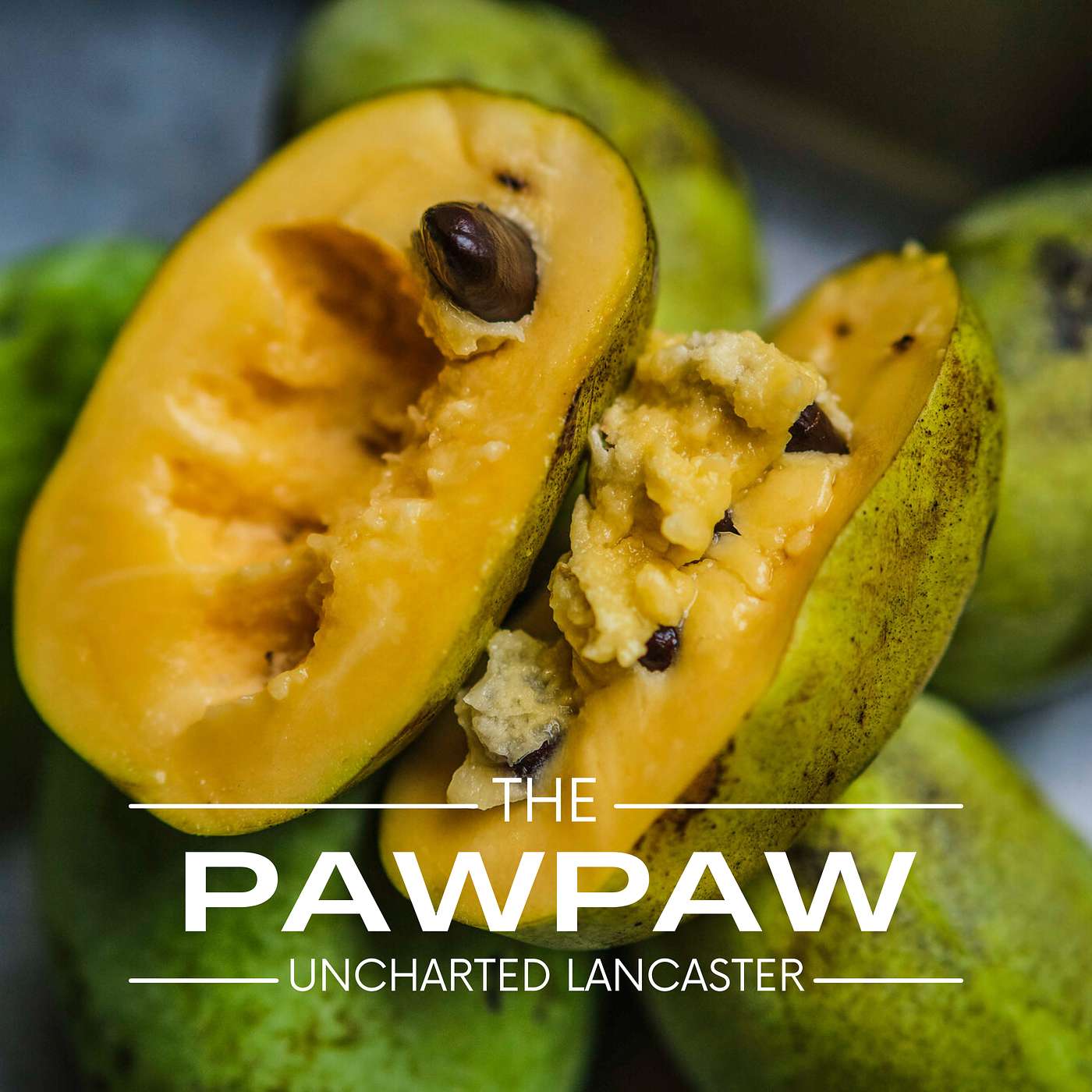 The Pawpaw: America’s Forgotten Fruit episode artwork