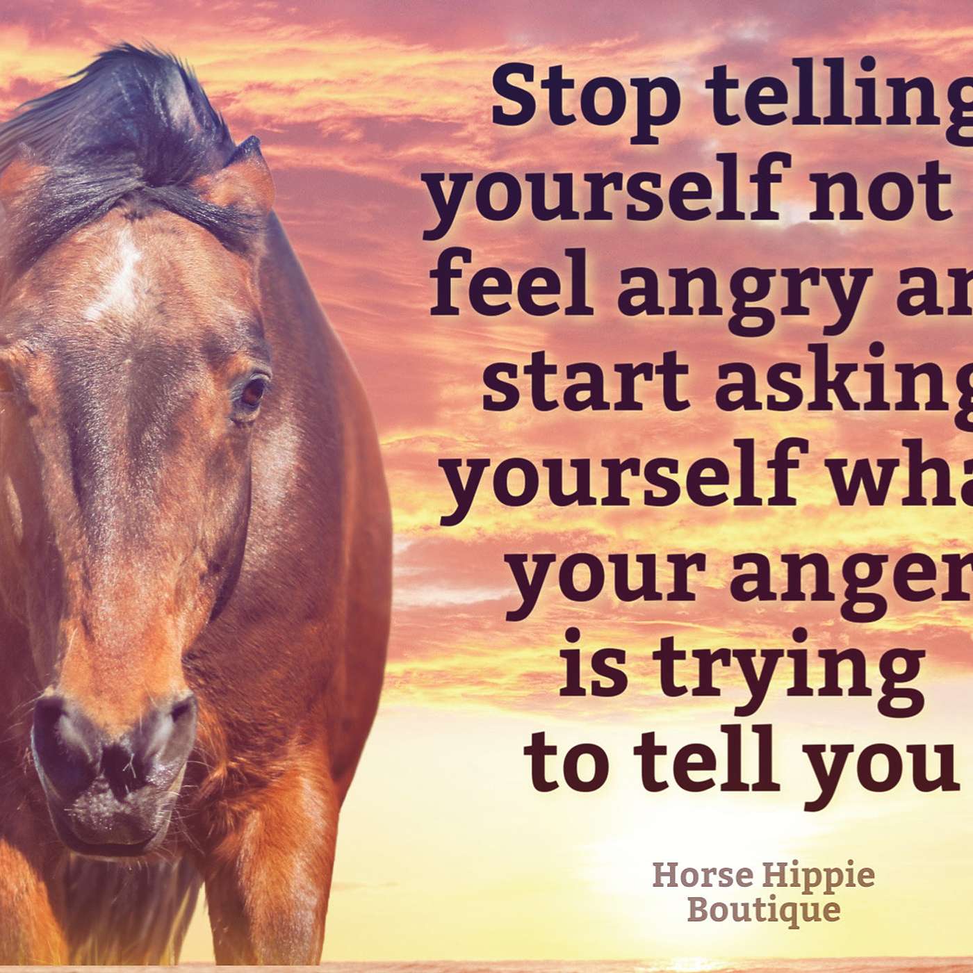 What is Your Anger Telling You?