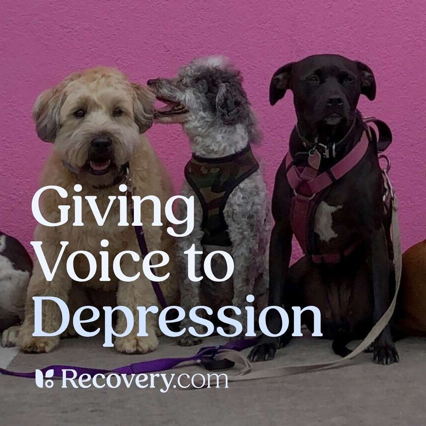 How Pets Help with Depression: Healing Through Unconditional Love and Companionship