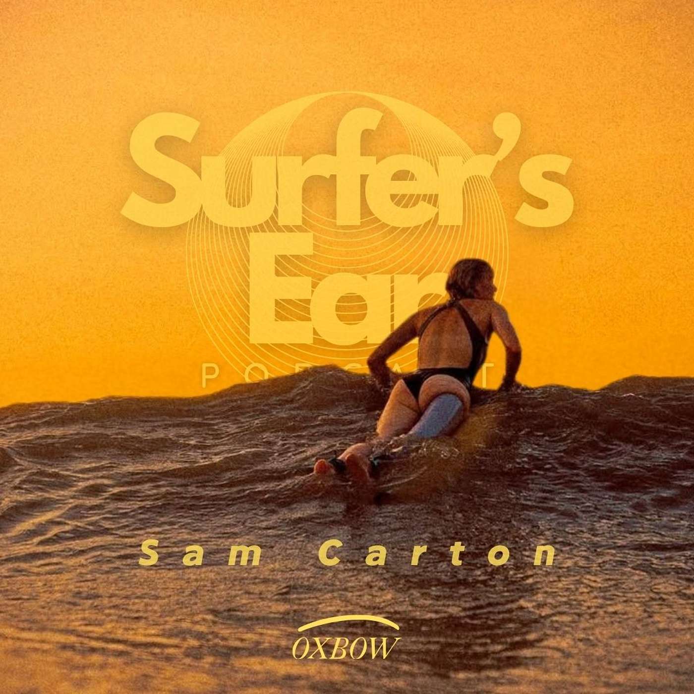 Ep. 3.10 Het titanium surfbeen van Sam Carton episode artwork