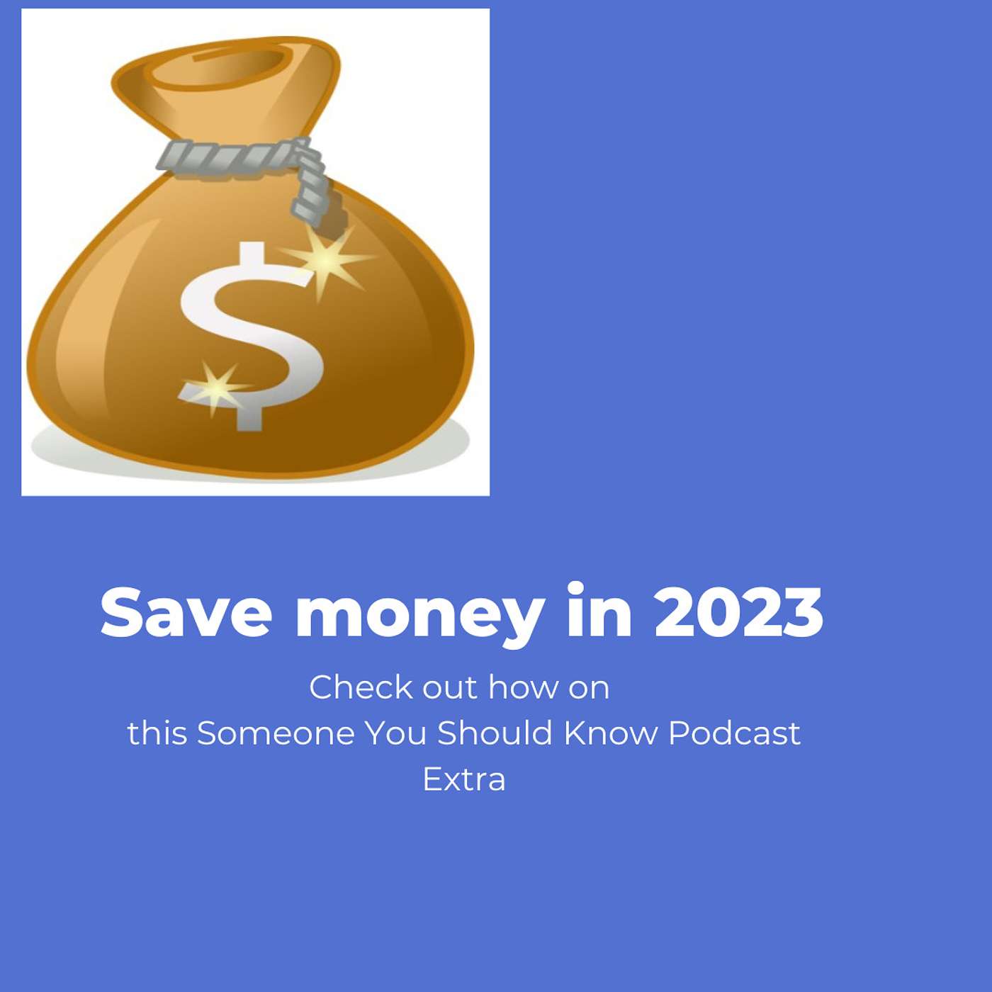 How The Someone You Should Know Podcast Can Save You Money in 2023