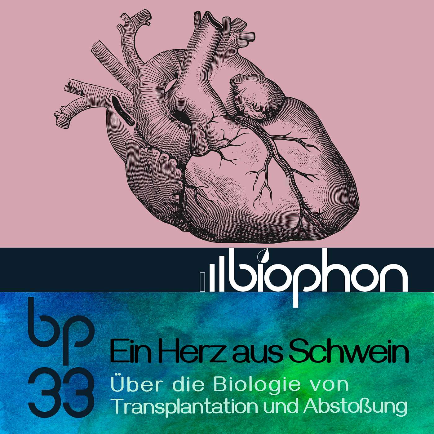 biophon - Geschichten aus Biowissenschaft und Forschung