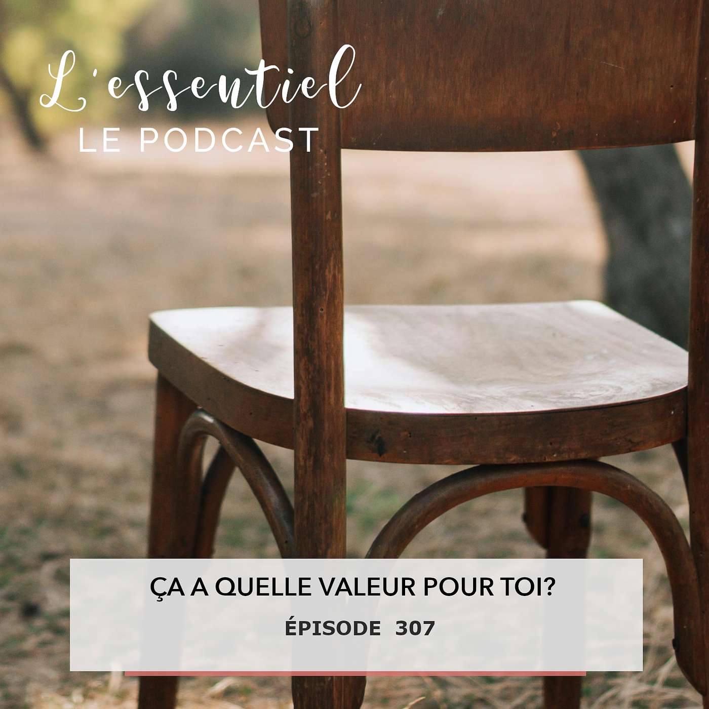 Ep #307 : Ça a quelle valeur pour toi? episode artwork