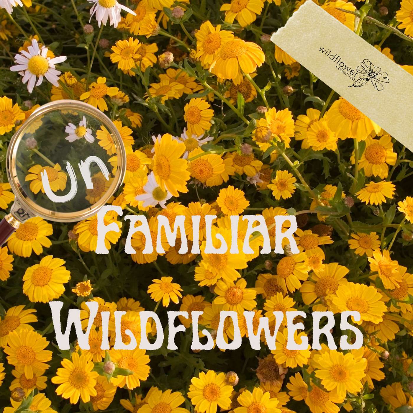 Ep 2 - Fields of Gold