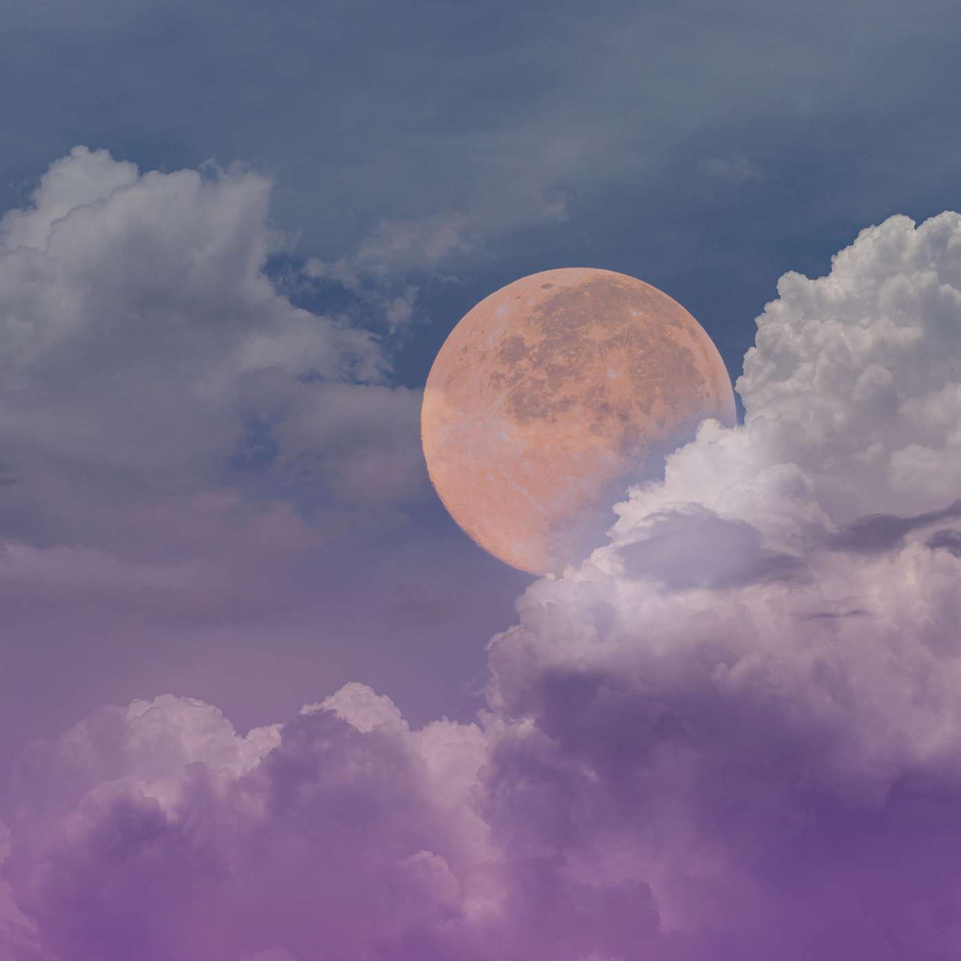141. Volle maan meditatie december 2024: je wortels episode artwork