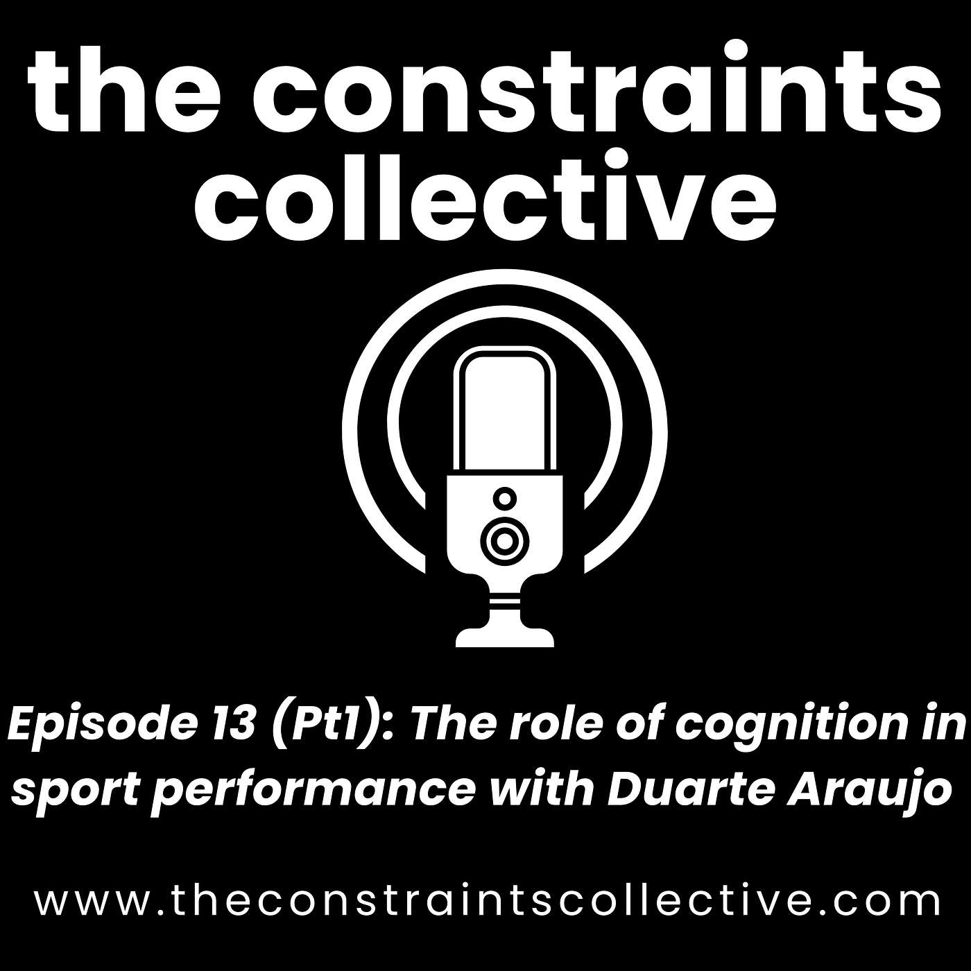 Episode 13 (Pt1): The role of cognition in sport performance with Duarte Araujo episode artwork