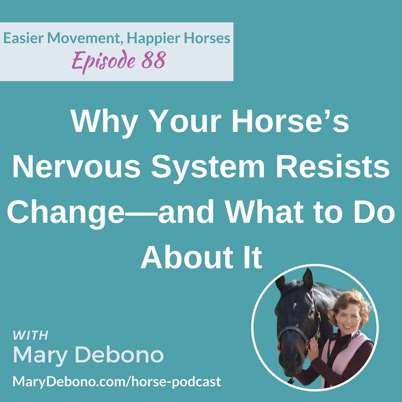 Why Your Horse’s Nervous System Resists Change—and What to Do About It