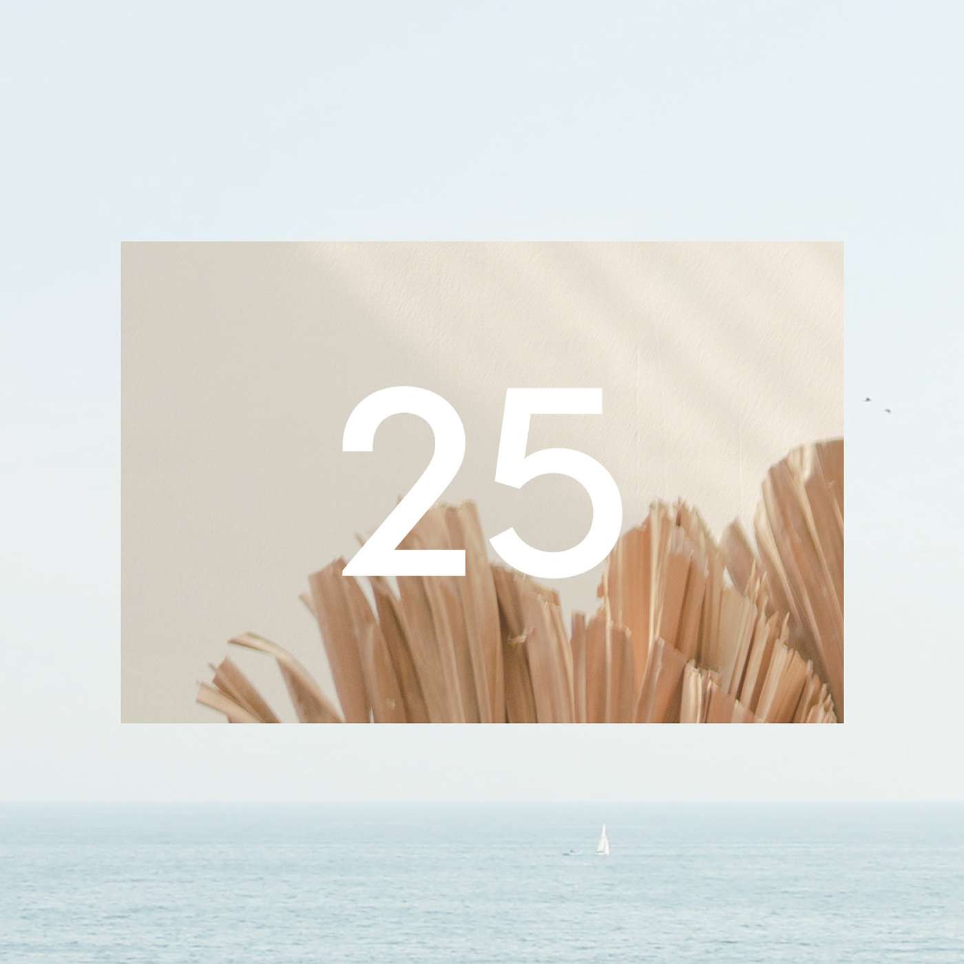 25